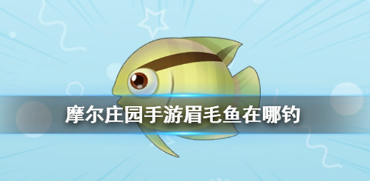 摩尔庄园眉毛鱼在哪 眉毛鱼获取点位分享