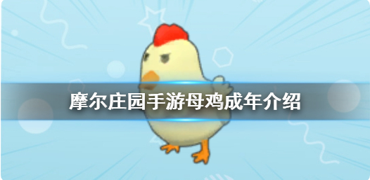 摩尔庄园母鸡成年在哪 母鸡成年获取点位分享