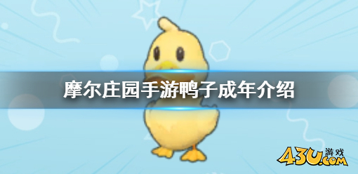摩尔庄园鸭子成年在哪 鸭子成年获取点位分享