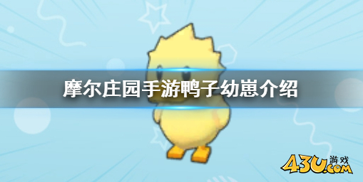 摩尔庄园鸭子幼崽在哪 鸭子幼崽获取点位分享