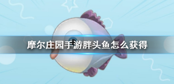 摩尔庄园胖头鱼在哪 胖头鱼获取点位分享