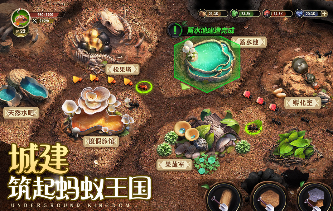 小小蚁国激活码资源礼包合集 游戏福利领取大全