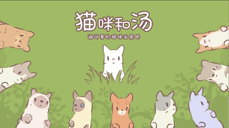 猫咪和汤礼包码有什么 游戏激活码领取