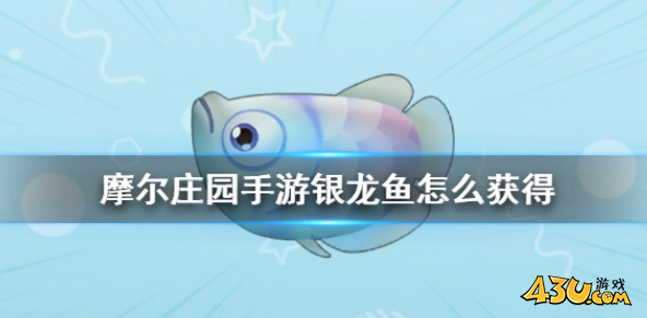 摩尔庄园银龙鱼在哪 银龙鱼获取点位分享