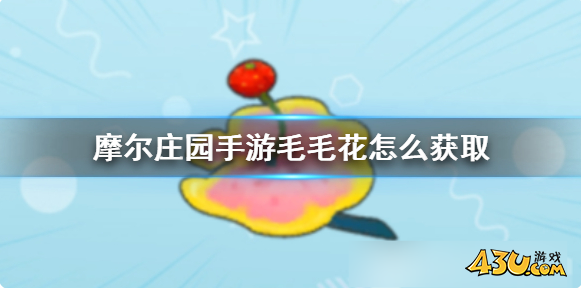 摩尔庄园毛毛花怎么获得 毛毛花获取途径