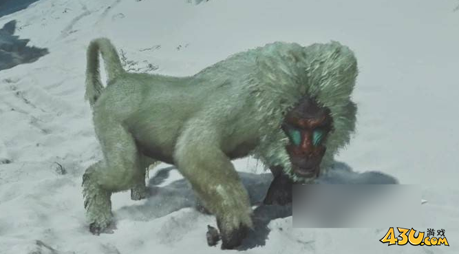 怪物猎人荒野雪狮子位置在哪里 雪狮子位置掉落攻略