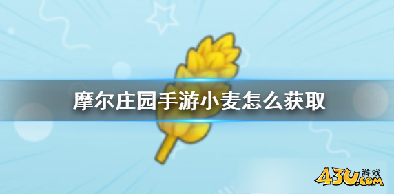 摩尔庄园小麦怎么获得 小麦获取途径
