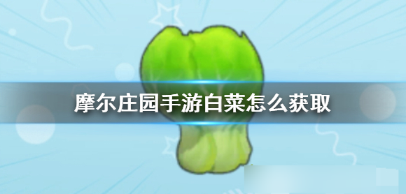 摩尔庄园白菜怎么获得 白菜获取途径