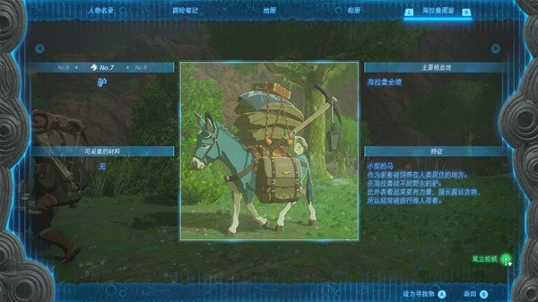 塞尔达传说王国之泪拍照全图鉴 驴拍照点位分享 塞尔达传说王国之泪拍照全图鉴 驴拍照点位分享