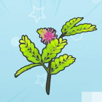 摩尔庄园含羞草怎么获得 含羞草获取途径 摩尔庄园含羞草怎么获得 含羞草获取途径