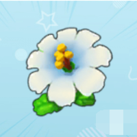 摩尔庄园百合花怎么获得 百合花获取途径