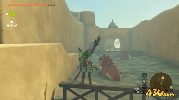 塞尔达传说王国之泪拍照全图鉴 沙海象拍照点位分享