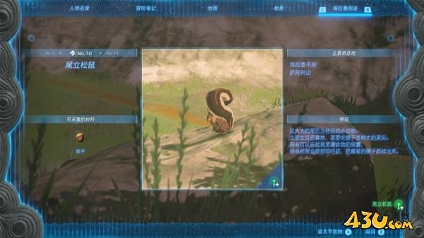 塞尔达传说王国之泪拍照全图鉴 尾立松鼠拍照点位分享