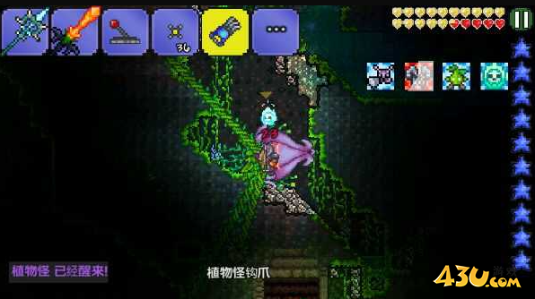 泰拉瑞亚全物品怎么获得 世纪花苞获取指南