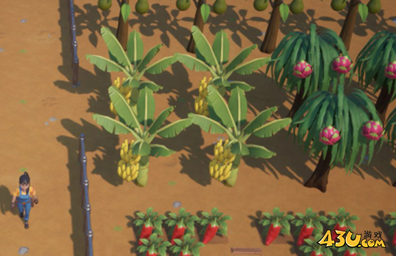 珊瑚岛温室如何种树 温室种树方法攻略 珊瑚岛温室如何种树 温室种树方法攻略