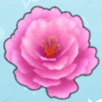 摩尔庄园牡丹花怎么获得 牡丹花获取途径 摩尔庄园牡丹花怎么获得 牡丹花获取途径