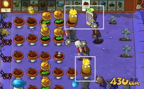 植物大战僵尸杂交版冒险8关怎么通关 冒险通关攻略 植物大战僵尸杂交版冒险8关怎么通关 冒险通关攻略