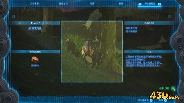 塞尔达传说王国之泪拍照全图鉴 赤獠野猪拍照点位分享