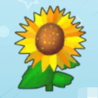 摩尔庄园向日葵怎么获得 向日葵获取途径 摩尔庄园向日葵怎么获得 向日葵获取途径