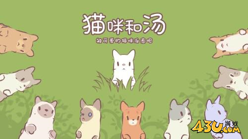 猫咪和汤2