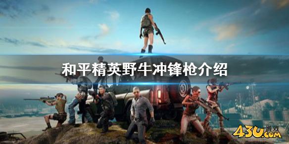 43u游戏攻略