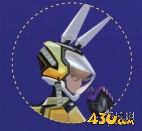 43