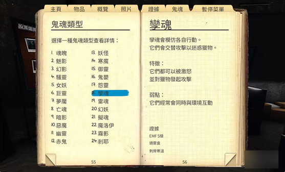 恐鬼症孪魂鬼魂是什么 孪魂鬼魂详细介绍