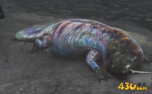 怪物猎人荒野胶鲵位置在哪里 胶鲵位置掉落攻略