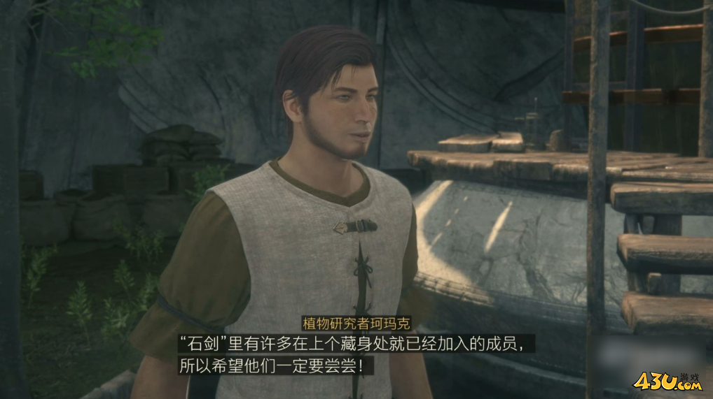 最终幻想16开花结果的心愿怎么做 委托任务攻略