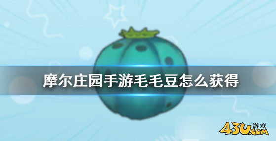 摩尔庄园毛毛豆怎么获得 毛毛豆获取途径