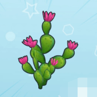 摩尔庄园仙人掌怎么获得 仙人掌获取途径